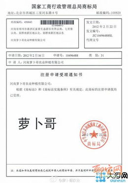 韓紅剛申請‘蘿卜哥’商標 品牌意識覺醒之路